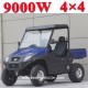 Electric Golf Car/Cart/Buggy/Utility Vehicle (MC-182)